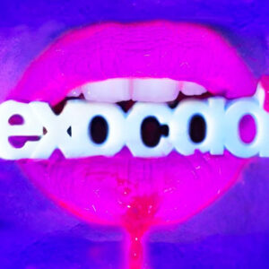 Lip art
